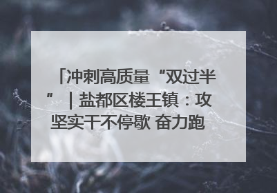 冲刺高质量“双过半”｜盐都区楼王镇：攻坚实干不停歇 奋力跑赢“上半场”