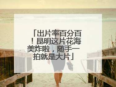 出片率百分百！昆明这片花海美炸啦，随手一拍就是大片