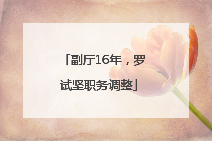 副厅16年，罗试坚职务调整