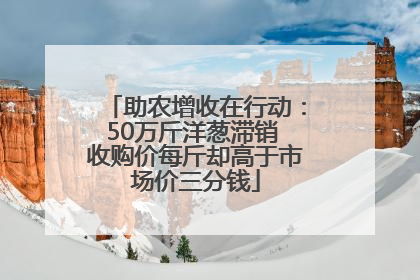 助农增收在行动：50万斤洋葱滞销 收购价每斤却高于市场价三分钱