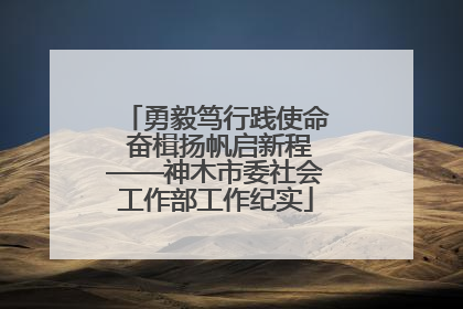 勇毅笃行践使命 奋楫扬帆启新程——神木市委社会工作部工作纪实