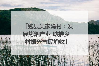 勉县吴家湾村：发展烤烟产业 助推乡村振兴富民增收