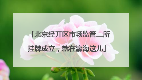 北京经开区市场监管二所挂牌成立，就在瀛海这儿