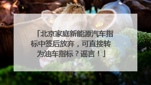 北京家庭新能源汽车指标中签后放弃，可直接转为油车指标？谣言！
