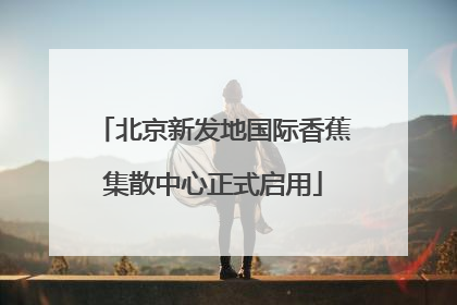 北京新发地国际香蕉集散中心正式启用