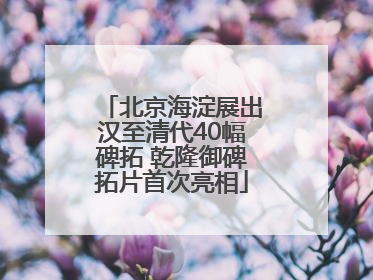 北京海淀展出汉至清代40幅碑拓 乾隆御碑拓片首次亮相