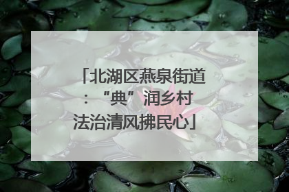 北湖区燕泉街道：“典”润乡村 法治清风拂民心