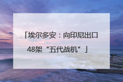 埃尔多安：向印尼出口48架“五代战机”