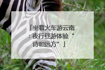 坐着火车游云南：夜行昼游体验“诗和远方”