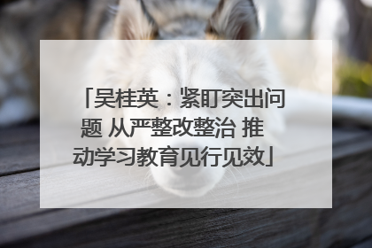 吴桂英：紧盯突出问题 从严整改整治 推动学习教育见行见效