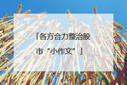 各方合力整治股市“小作文”