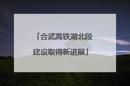 合武高铁湖北段建设取得新进展