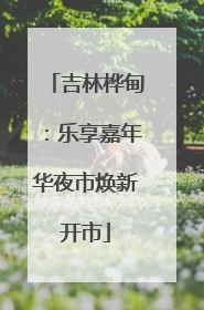 吉林桦甸：乐享嘉年华夜市焕新开市