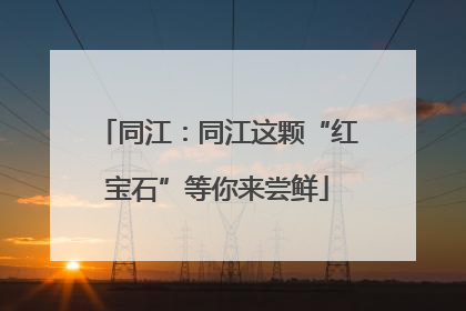 同江：同江这颗“红宝石”等你来尝鲜