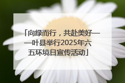 向绿而行，共赴美好——叶县举行2025年六五环境日宣传活动