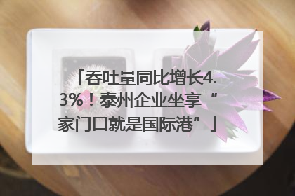 吞吐量同比增长4.3%！泰州企业坐享“家门口就是国际港”