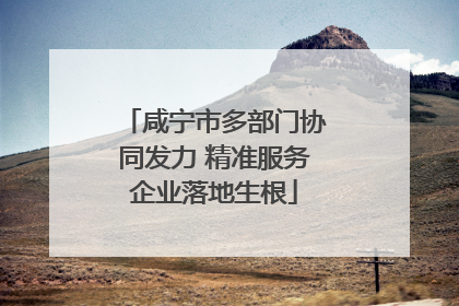 咸宁市多部门协同发力 精准服务企业落地生根