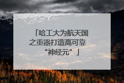 哈工大为航天国之重器打造高可靠“神经元”