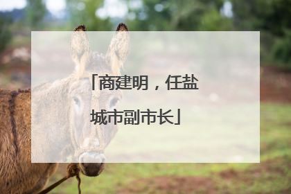 商建明，任盐城市副市长