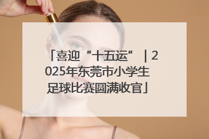 喜迎“十五运”｜2025年东莞市小学生足球比赛圆满收官