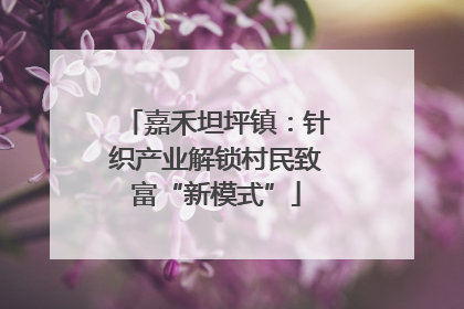 嘉禾坦坪镇：针织产业解锁村民致富“新模式”