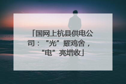 国网上杭县供电公司：“光”耀鸡舍，“电”亮增收
