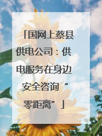 国网上蔡县供电公司：供电服务在身边 安全咨询“零距离”