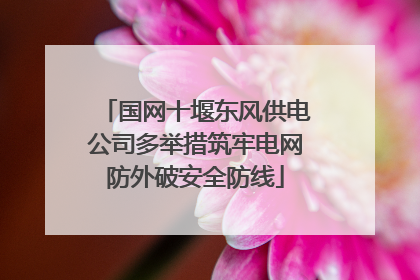 国网十堰东风供电公司多举措筑牢电网防外破安全防线