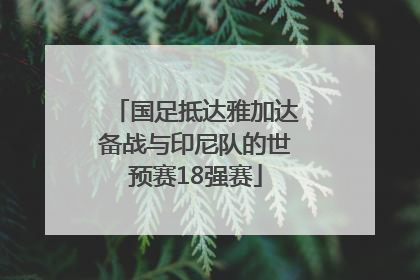 国足抵达雅加达备战与印尼队的世预赛18强赛