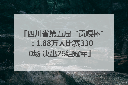四川省第五届“贡嘎杯”:1.88万人比赛3300场 决出26组冠军