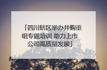 四川辖区举办并购重组专题培训 助力上市公司高质量发展