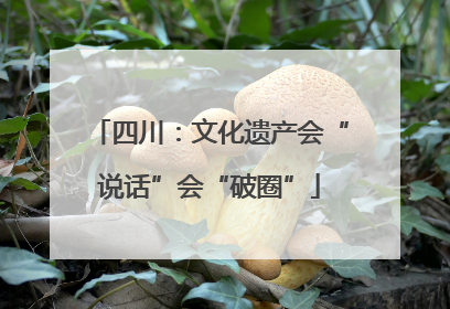 四川：文化遗产会“说话”会“破圈”