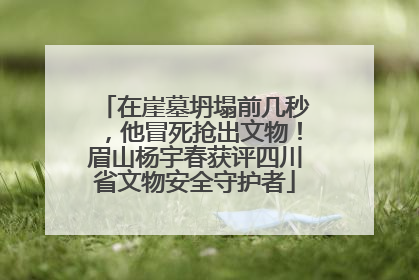 在崖墓坍塌前几秒，他冒死抢出文物！眉山杨宇春获评四川省文物安全守护者