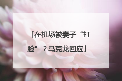 在机场被妻子“打脸”？马克龙回应
