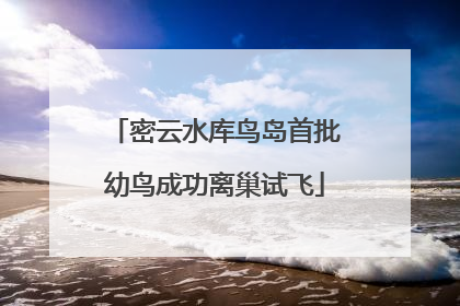 密云水库鸟岛首批幼鸟成功离巢试飞