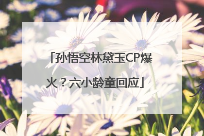 孙悟空林黛玉CP爆火？六小龄童回应