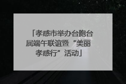 孝感市举办台胞台属端午联谊暨“美丽孝感行”活动