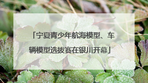 宁夏青少年航海模型、车辆模型选拔赛在银川开幕