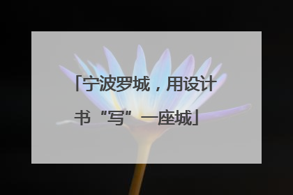 宁波罗城，用设计书“写”一座城