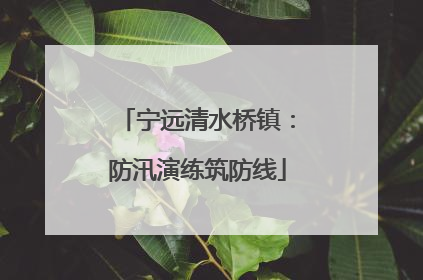 宁远清水桥镇：防汛演练筑防线
