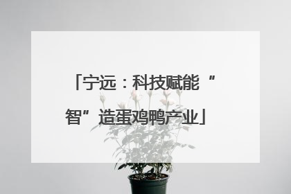 宁远：科技赋能“智”造蛋鸡鸭产业