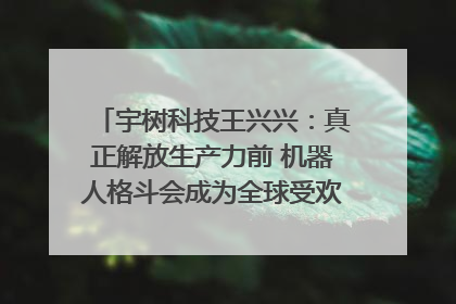 宇树科技王兴兴：真正解放生产力前 机器人格斗会成为全球受欢迎的赛事｜科技观察