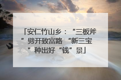 安仁竹山乡：“三板斧”劈开致富路 “新三宝”种出好“钱”景