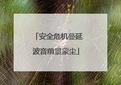 安全危机蔓延 波音前景蒙尘