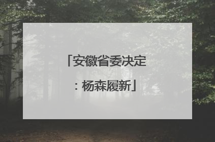 安徽省委决定：杨森履新