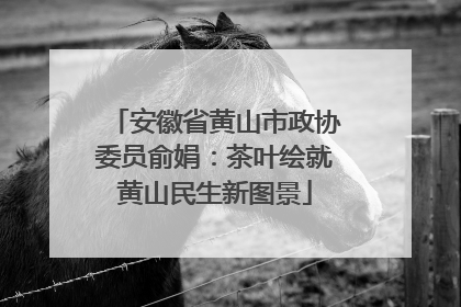 安徽省黄山市政协委员俞娟：茶叶绘就黄山民生新图景
