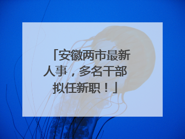 安徽两市最新人事，多名干部拟任新职！