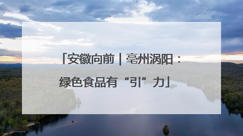 安徽向前｜亳州涡阳：绿色食品有“引”力