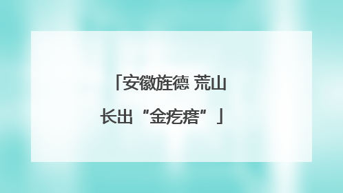 安徽旌德 荒山长出“金疙瘩”