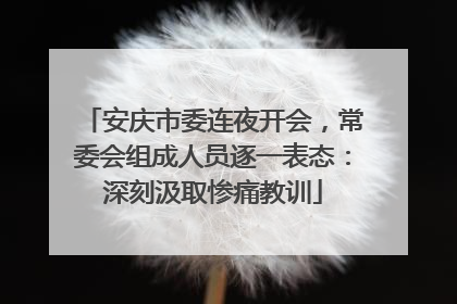 安庆市委连夜开会，常委会组成人员逐一表态：深刻汲取惨痛教训